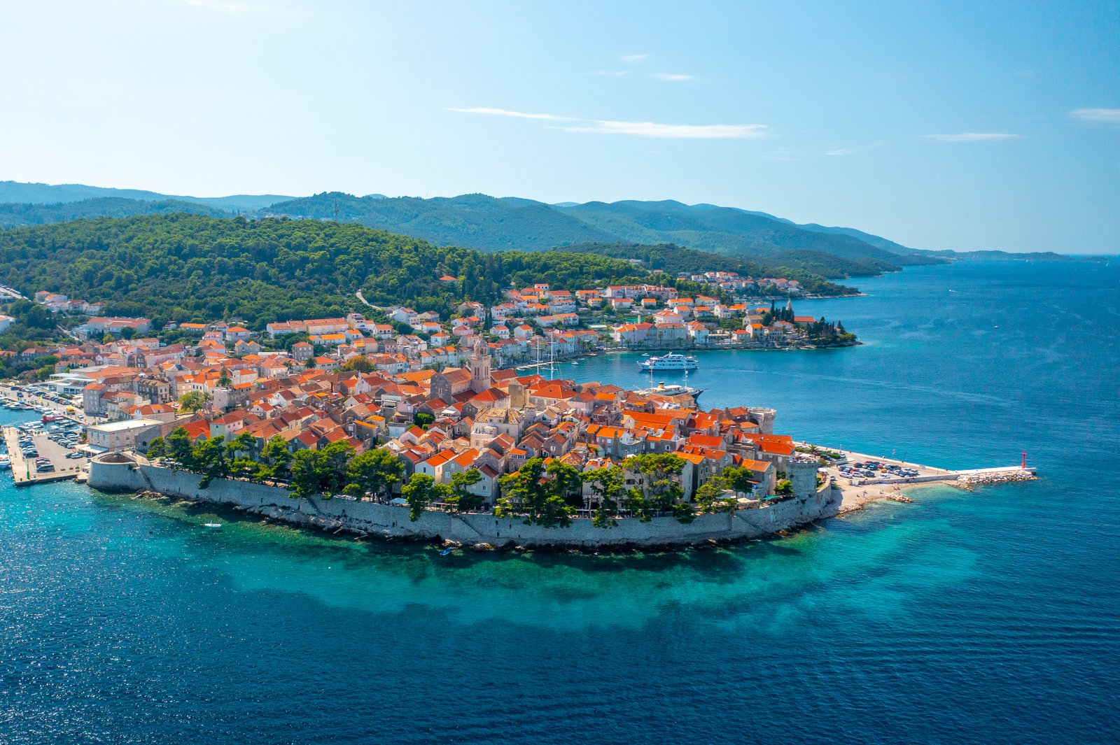 captain-bota photo 3