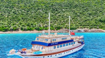 turkey-1